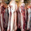 carcase porc