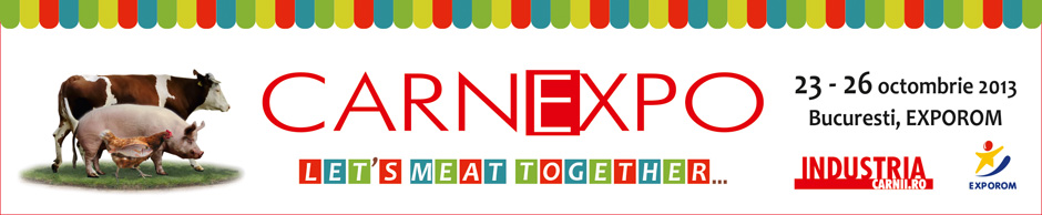 carnexpo 2013_banner_site_sus