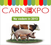 carnexpo w