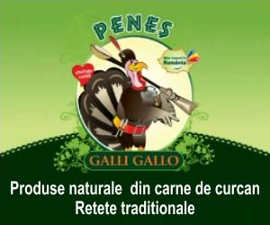 penes frame1w
