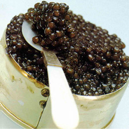caviar22