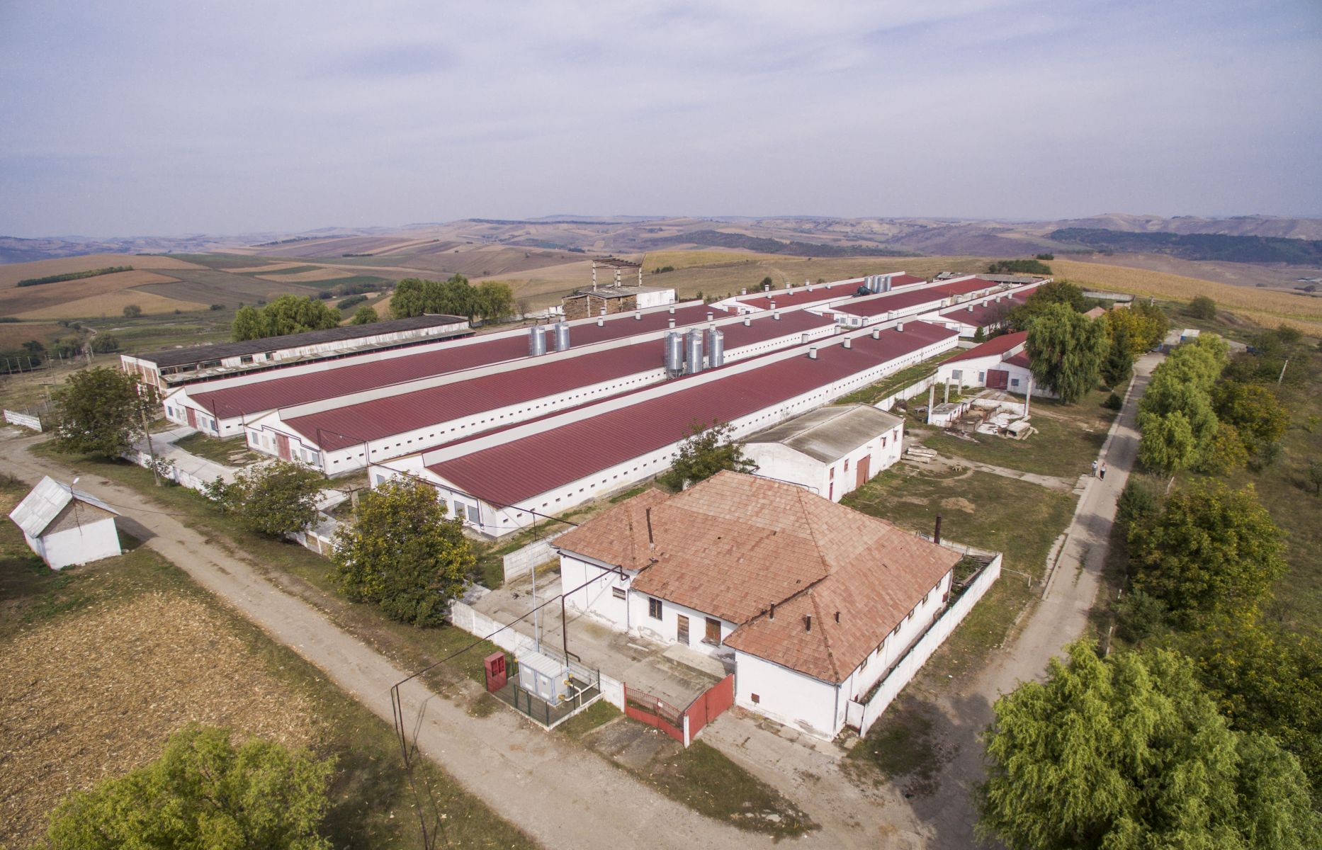 CRAIESTI3
