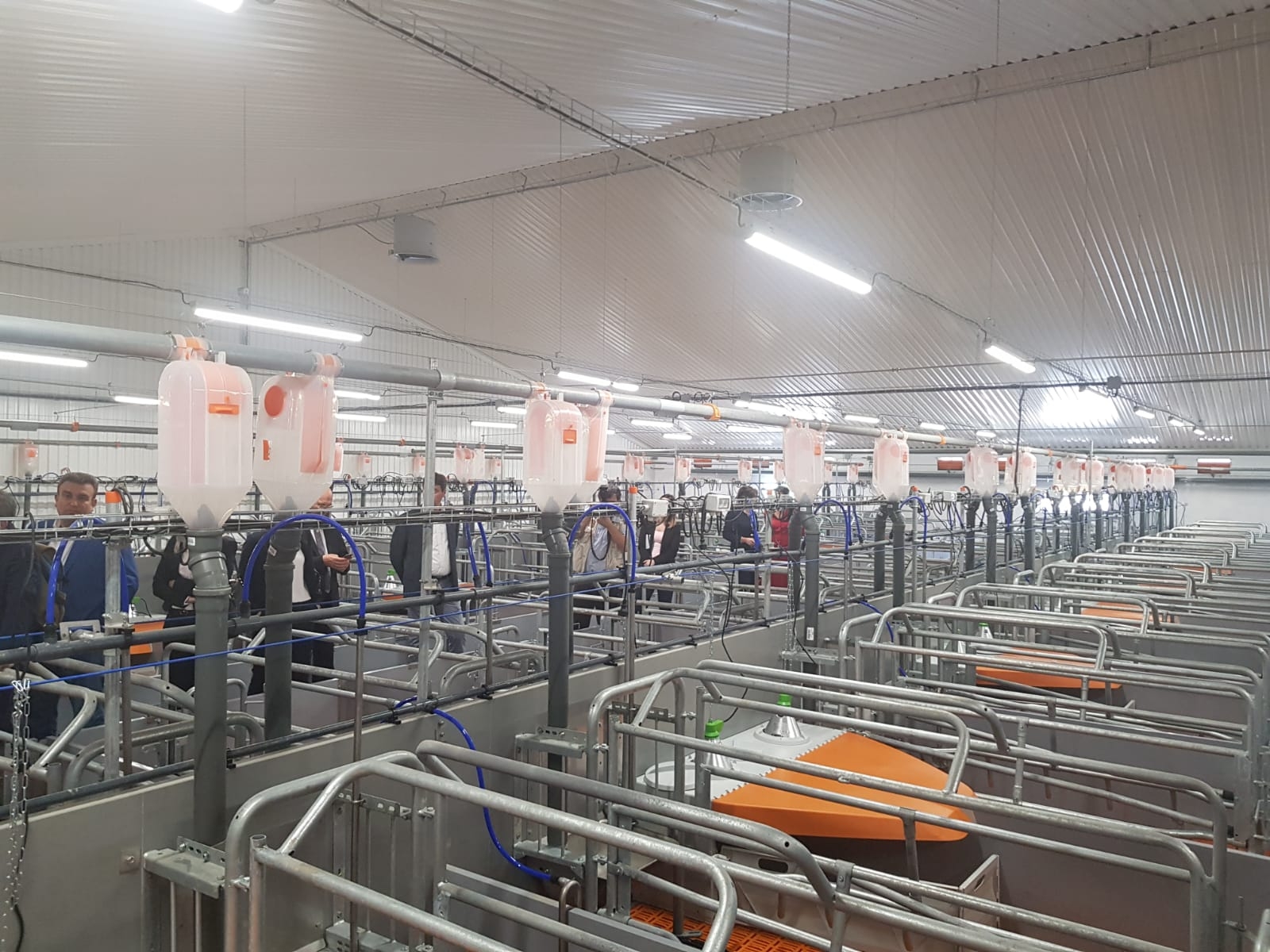 inaugurare ferma02
