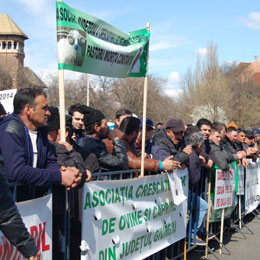 oiaprotest