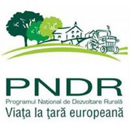 pndr proiecte 2020