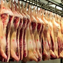 porc SUA