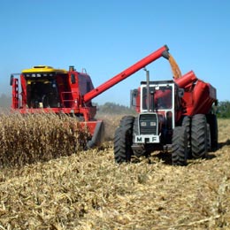 agricultura11