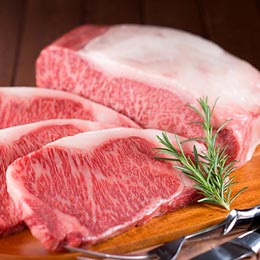 carnita