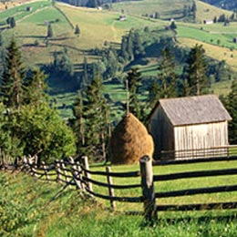dezrural