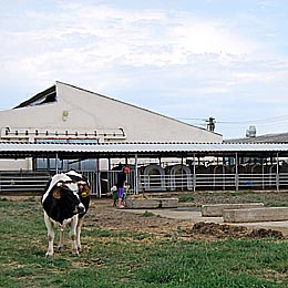ferme