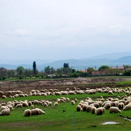 pajiste