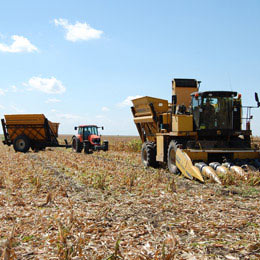 agric
