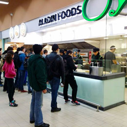 aladin foods