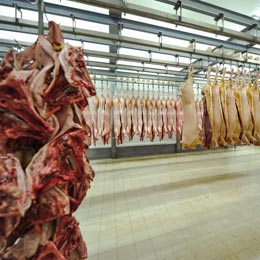 carne porc