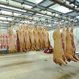carne porci0