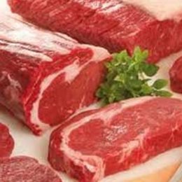 carne vit