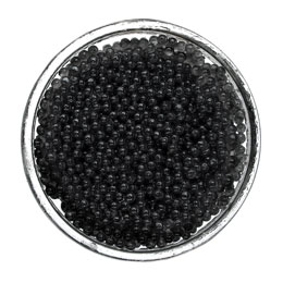 caviar