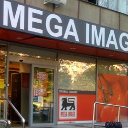 meg ima