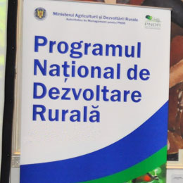 program 0