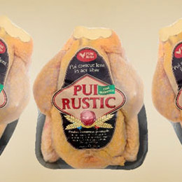 pui rustic