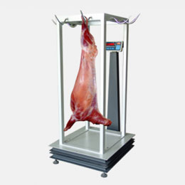 scale expert2