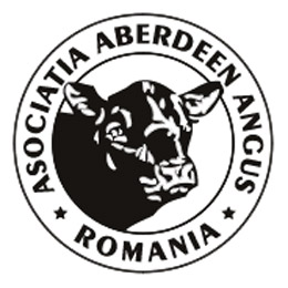 aberdeen
