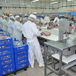 afaceri agricola