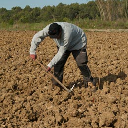 agricultori tva