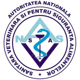 amenzi ansvsa