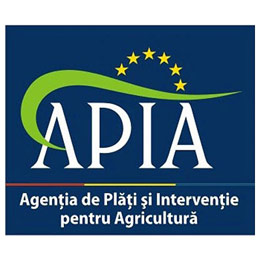 apia 1