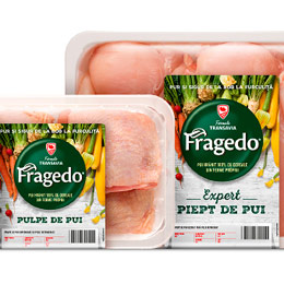 design fragedo