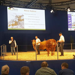 eurotier z