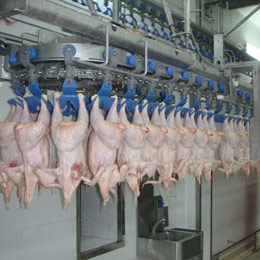 export carne