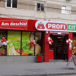 profi 500