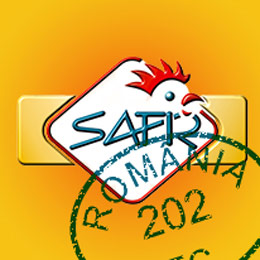 safir 1s