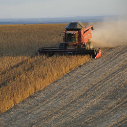 suma agricultori