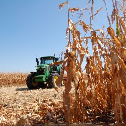 agricover berd
