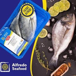 alfredo3