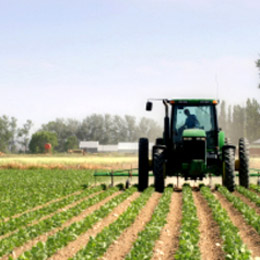 agricultura3