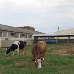 agriculturascadere