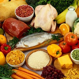 alimentelle1