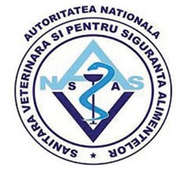 ansvsachina