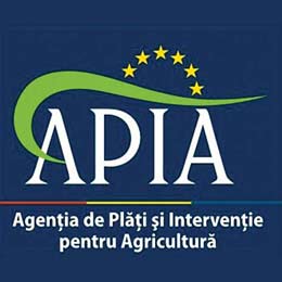 apia logoo1