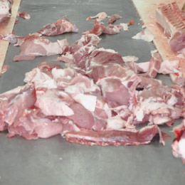 carne-pig112