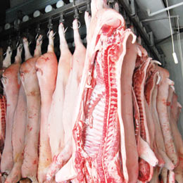 carne-porc111