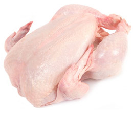 carnesalmonellaavicola