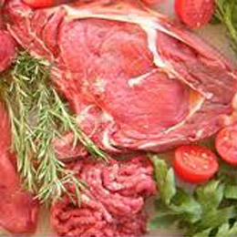 carnevitaamerica