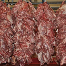 elvetia-carne1