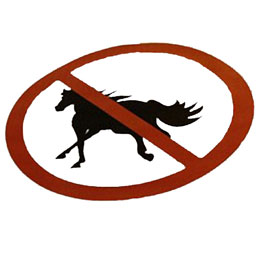 horsemeat