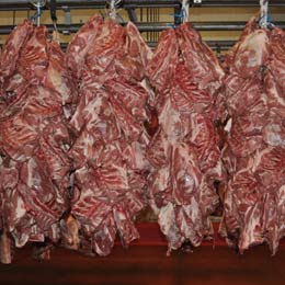 ins-meat1
